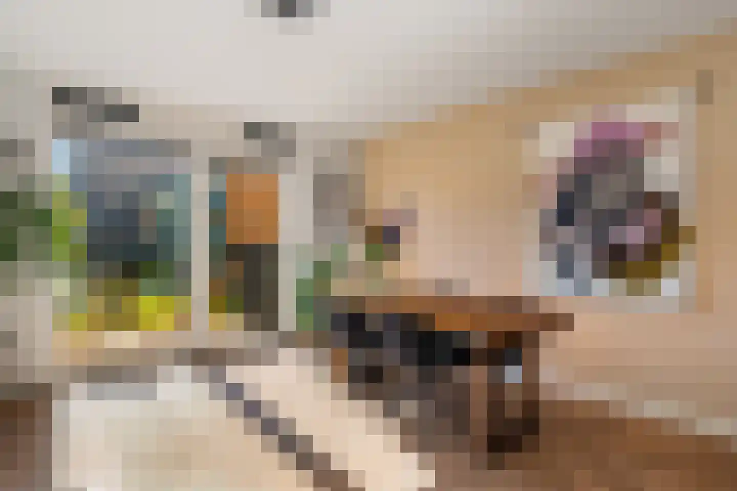 Sumatrakade 565 Amsterdam thumbnail 24