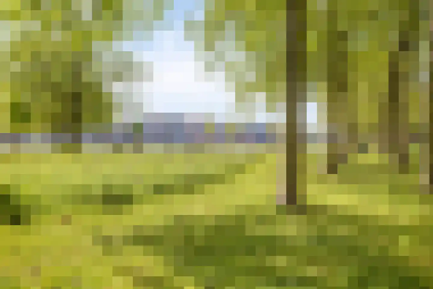 Sumatrakade 575 Amsterdam thumbnail 33
