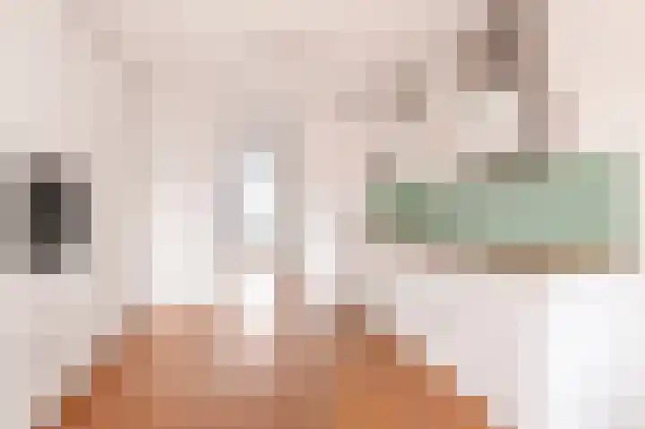 Sumatrakade 589 Amsterdam thumbnail 13