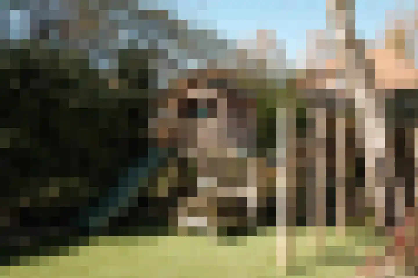 Sumatralaan 29 Hilversum thumbnail 21