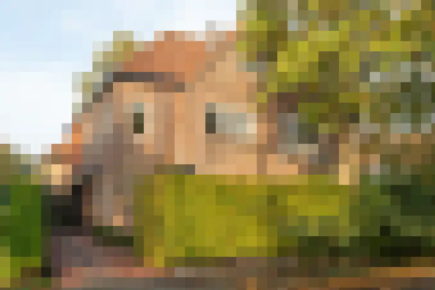 Sumatralaan 37 in Hilversum