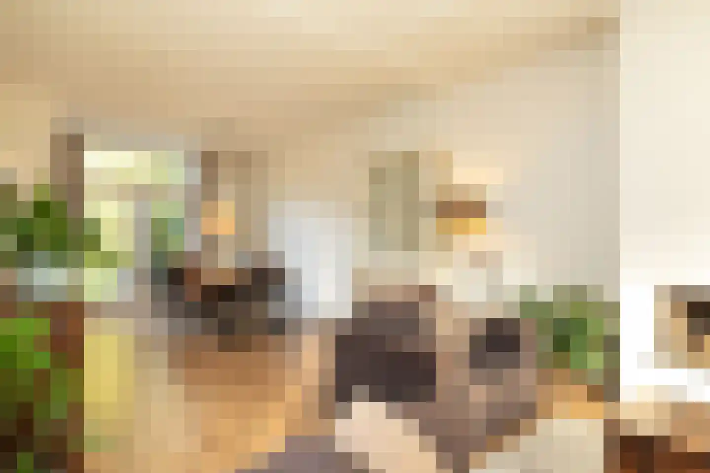 Sumatralaan 37 Hilversum thumbnail 7