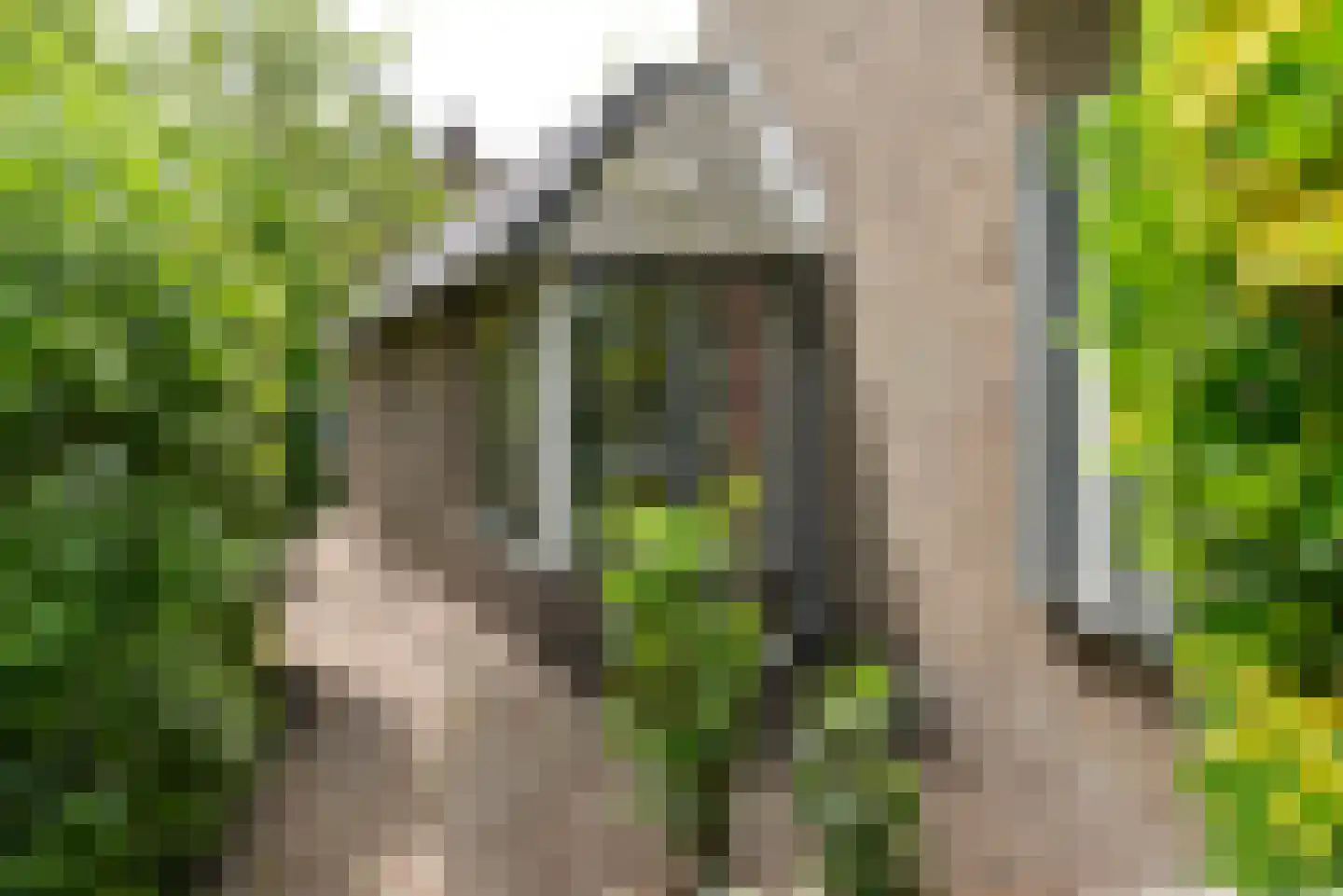 Sumatralaan 48 Hilversum thumbnail 21