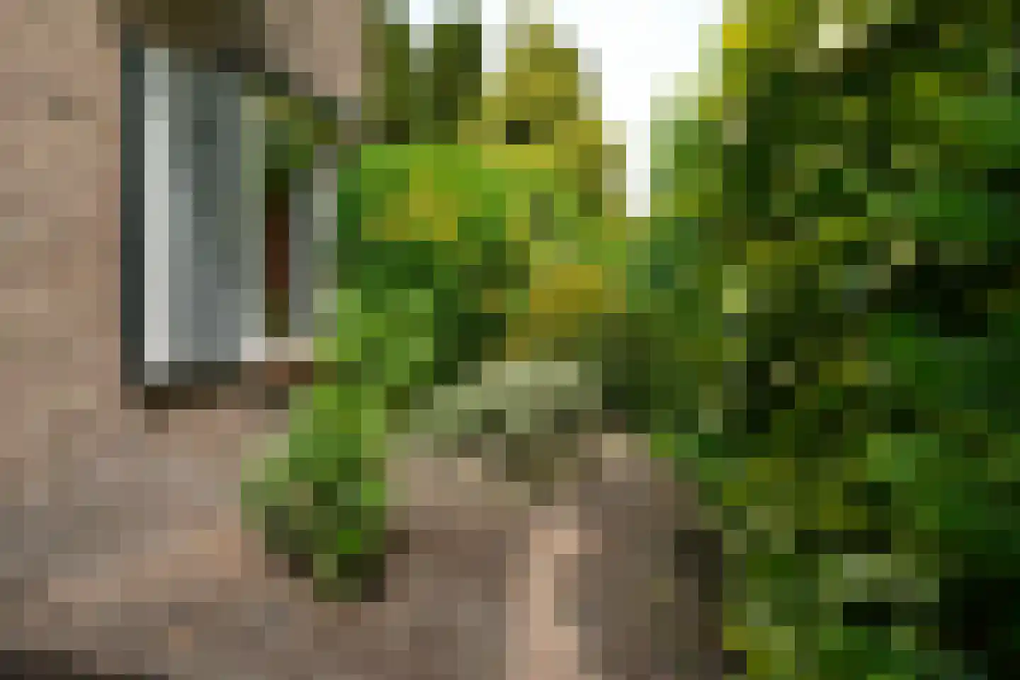 Sumatralaan 48 Hilversum thumbnail 22