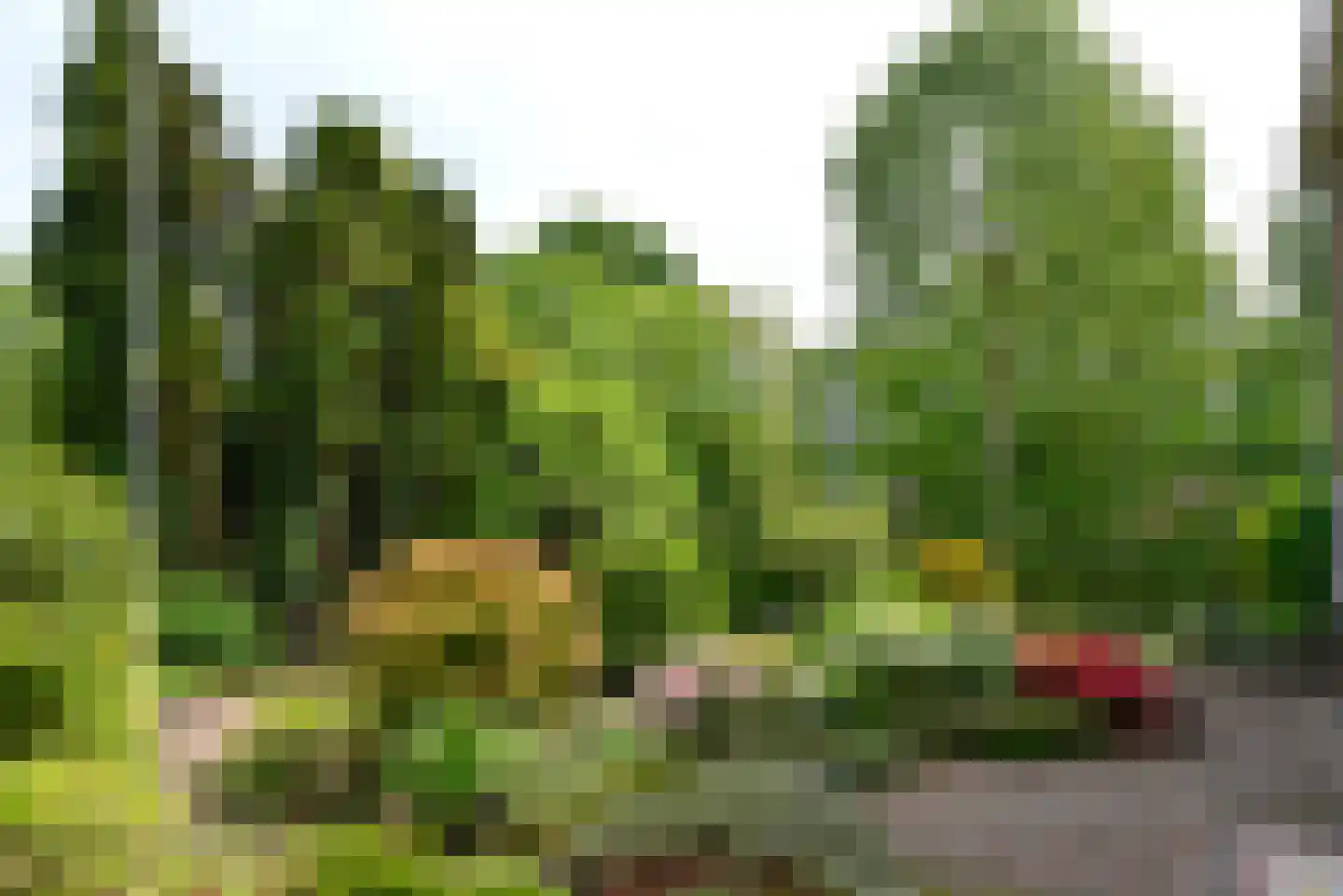 Sumatralaan 48 Hilversum thumbnail 24