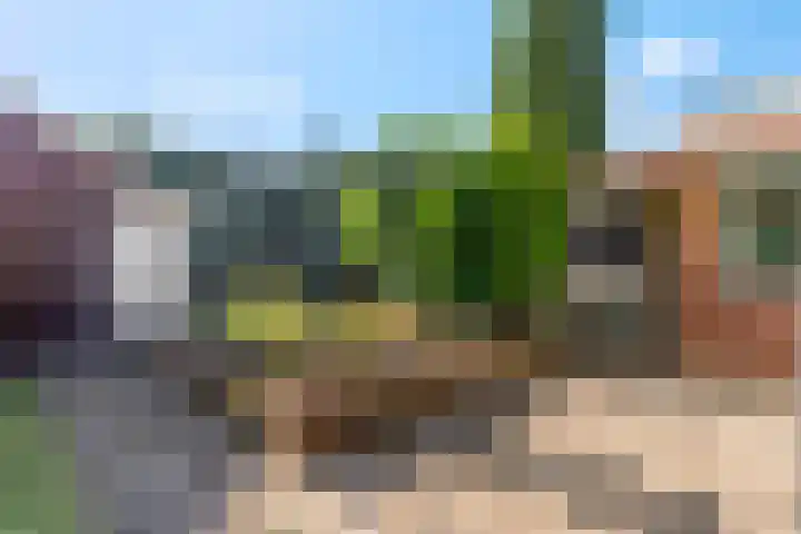 Sumatralaan 8 Ede thumbnail 41