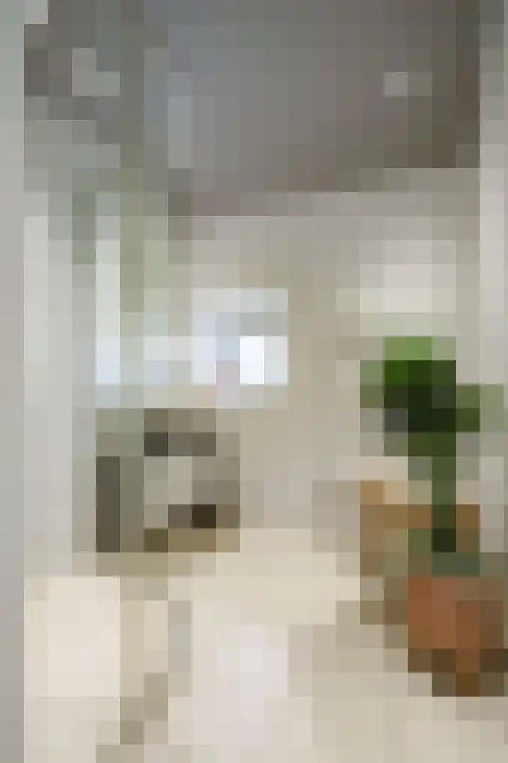 Sumatralaan 8 Zeist thumbnail 12