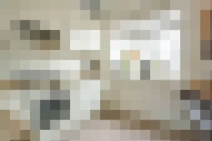 Sumatralaan 8 Zeist thumbnail 8