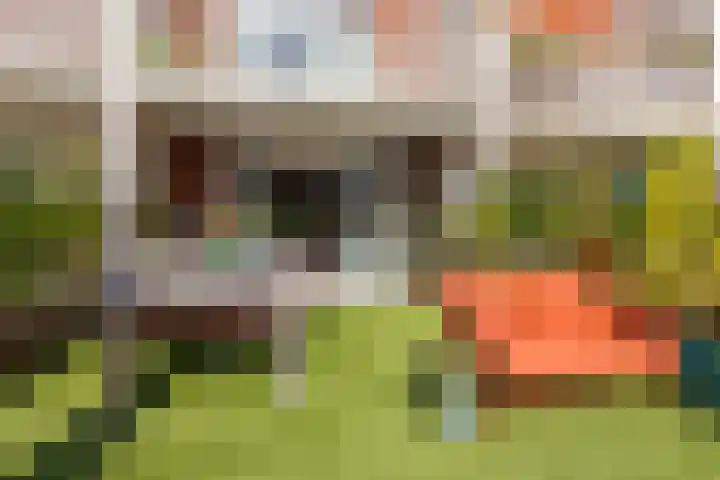 Sumatraplantsoen 130 Amsterdam thumbnail 26