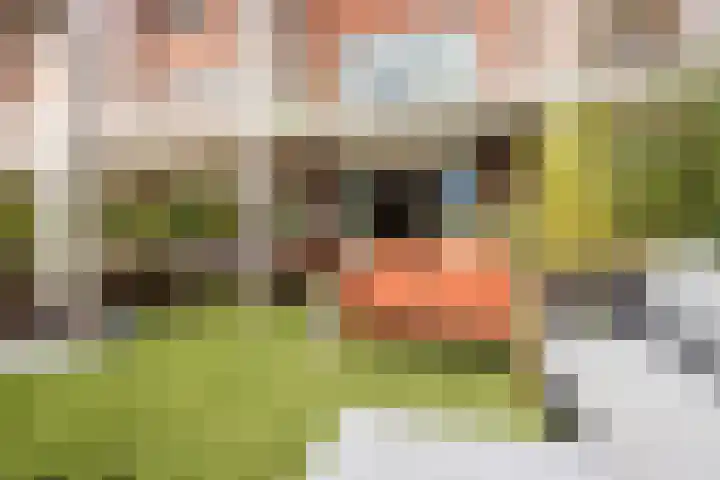 Sumatraplantsoen 130 Amsterdam thumbnail 27