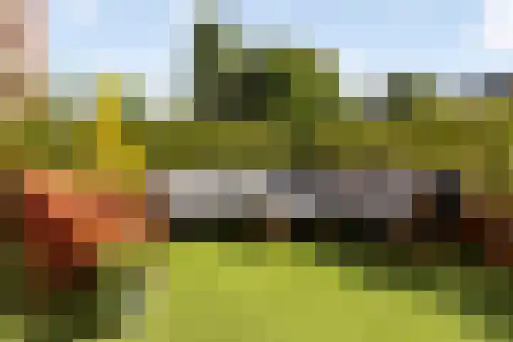 Sumatraplantsoen 130 Amsterdam thumbnail 28