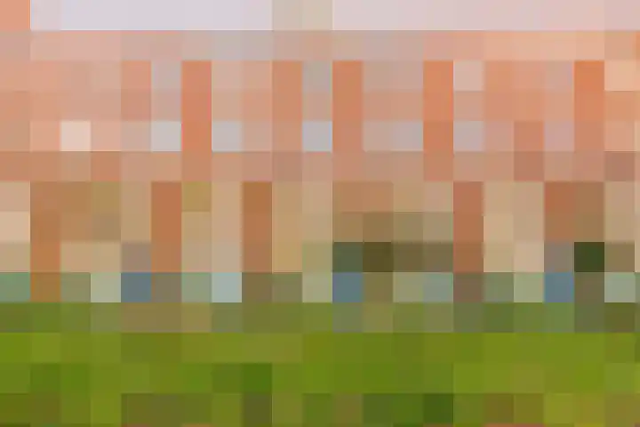 Sumatraplantsoen 130 Amsterdam thumbnail 30