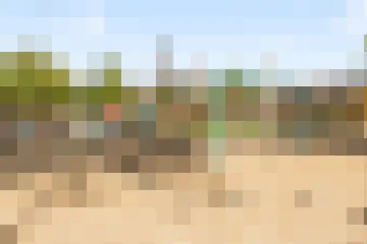 Sumatraplantsoen 130 Amsterdam thumbnail 34