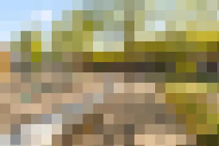 Sumatraplantsoen 130 Amsterdam thumbnail 35