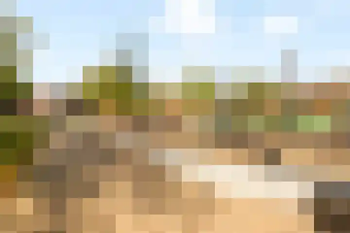Sumatraplantsoen 130 Amsterdam thumbnail 37