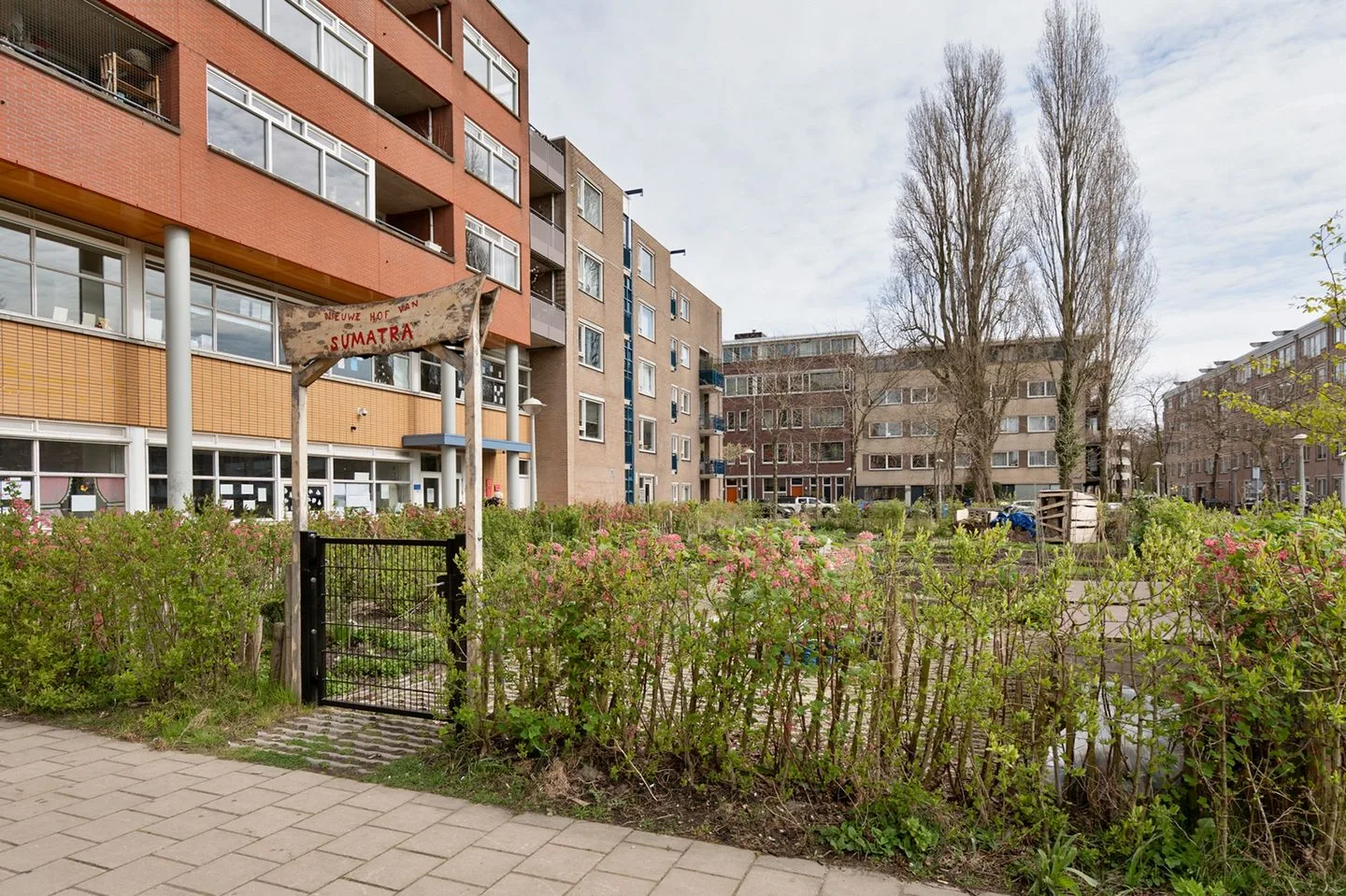 Sumatraplantsoen 21 D Amsterdam thumbnail 17