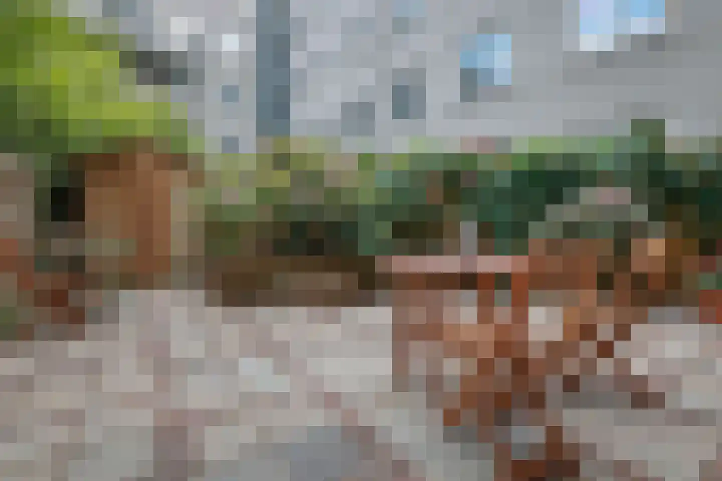 Sumatraplantsoen 25 Amsterdam thumbnail 15