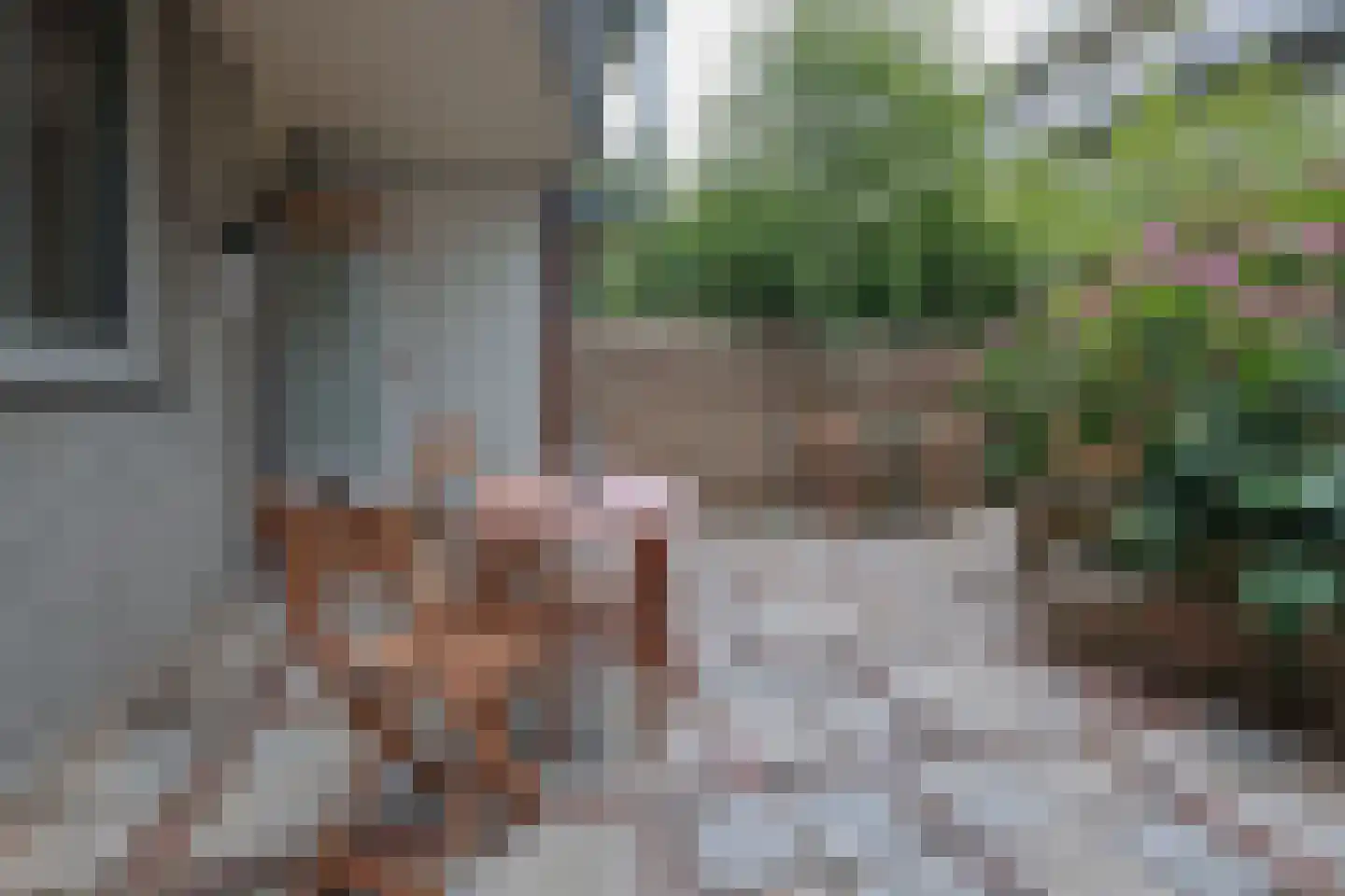 Sumatraplantsoen 25 Amsterdam thumbnail 16