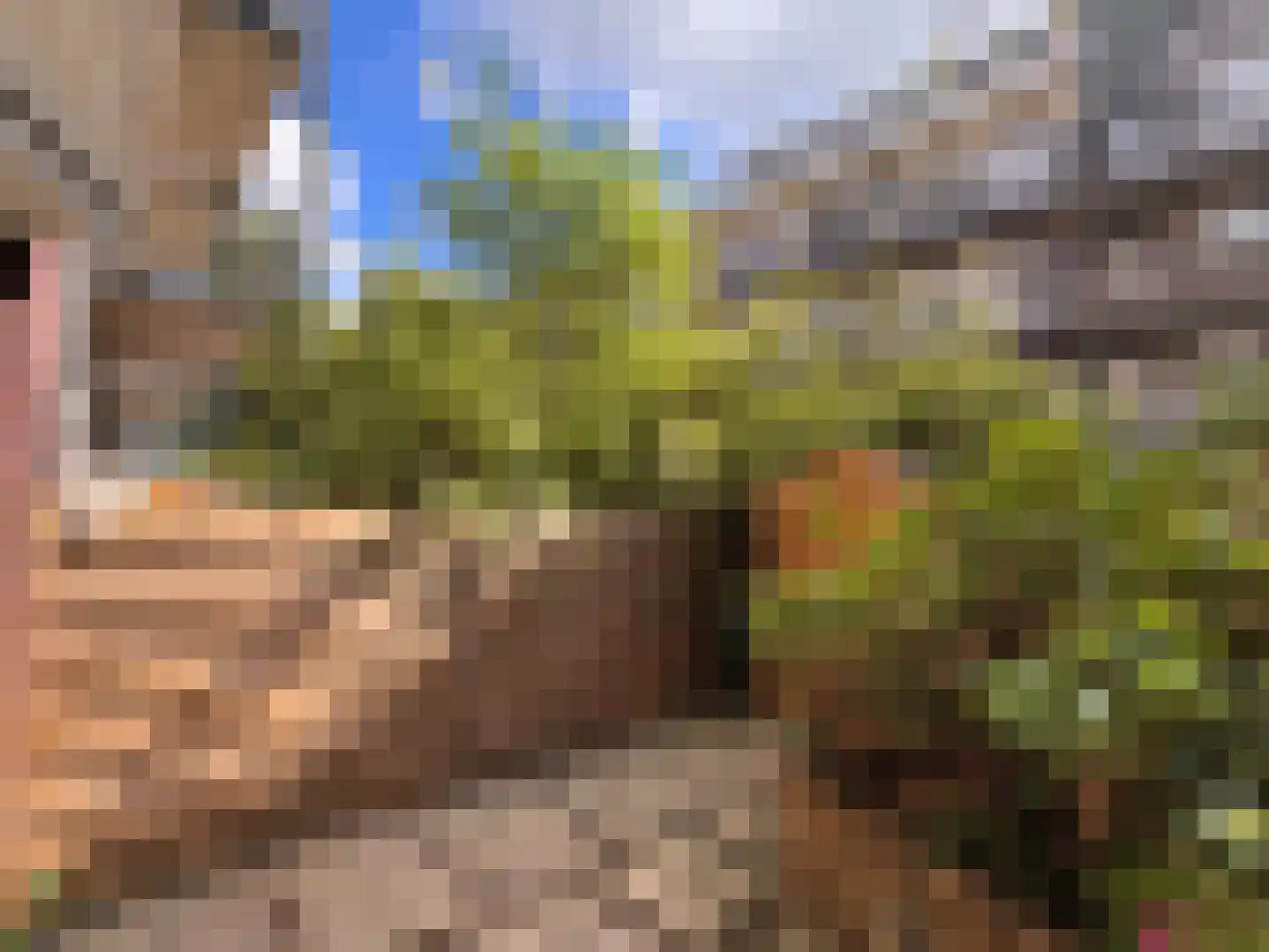 Sumatraplantsoen 25 Amsterdam thumbnail 17