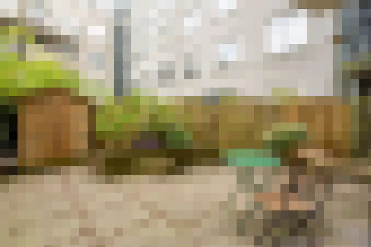 Sumatraplantsoen 25 Amsterdam thumbnail 21