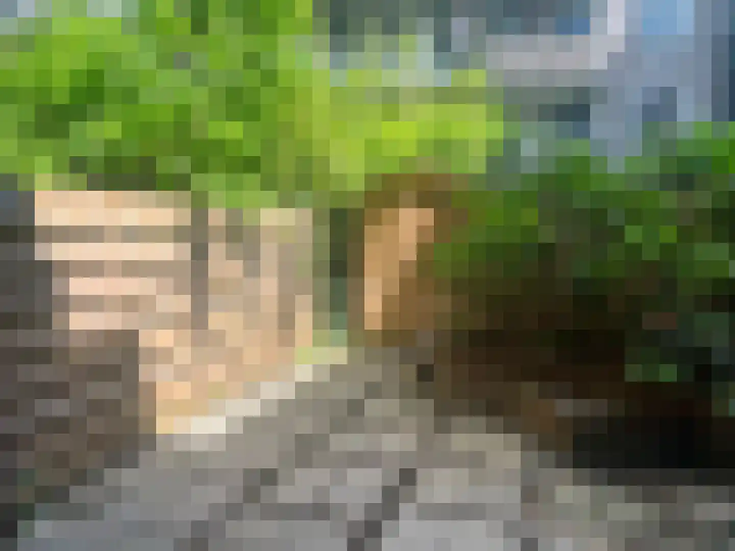 Sumatraplantsoen 25 Amsterdam thumbnail 22