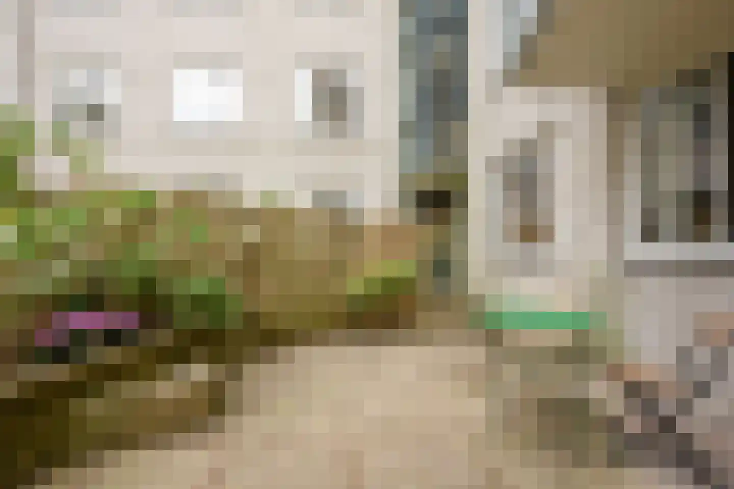Sumatraplantsoen 25 Amsterdam thumbnail 22