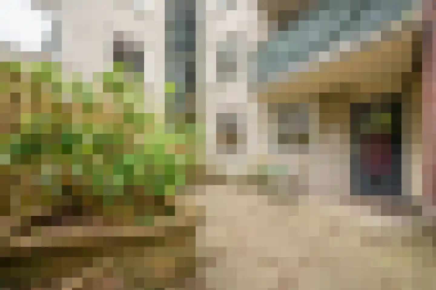 Sumatraplantsoen 25 Amsterdam thumbnail 23