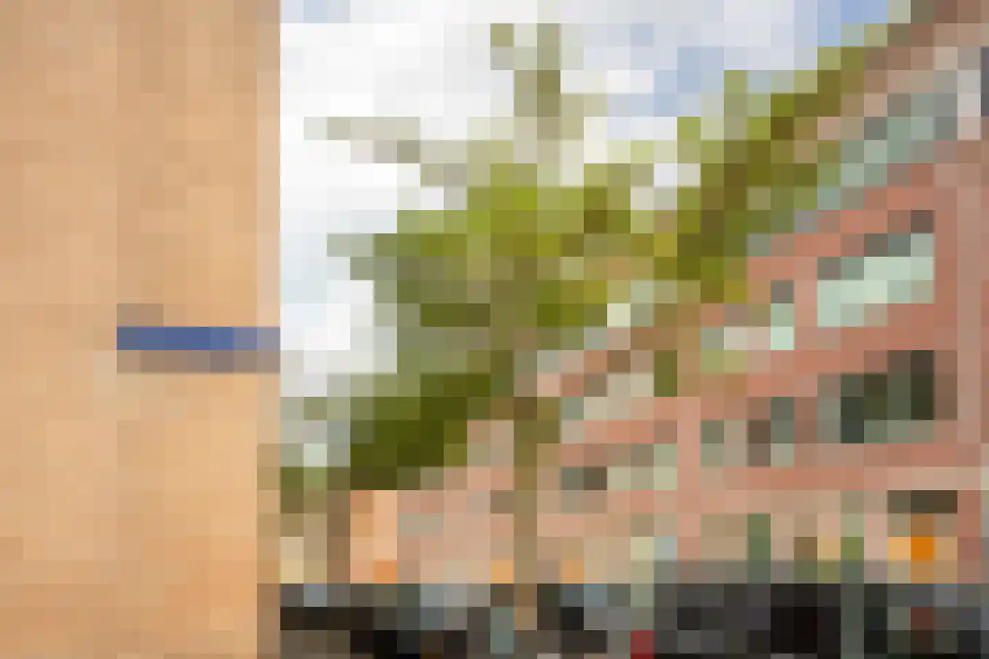 Sumatraplantsoen 25 Amsterdam thumbnail 26
