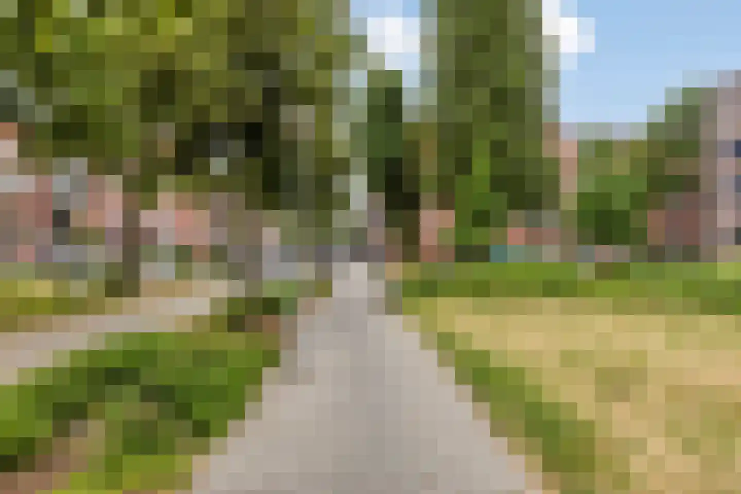 Sumatraplantsoen 3 A Amsterdam thumbnail 32
