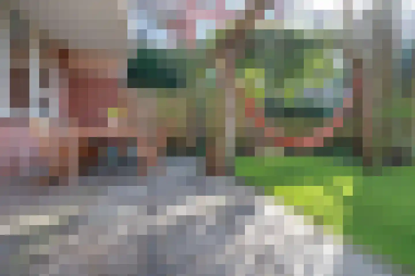 Sumatraplantsoen 34 A Amsterdam thumbnail 19