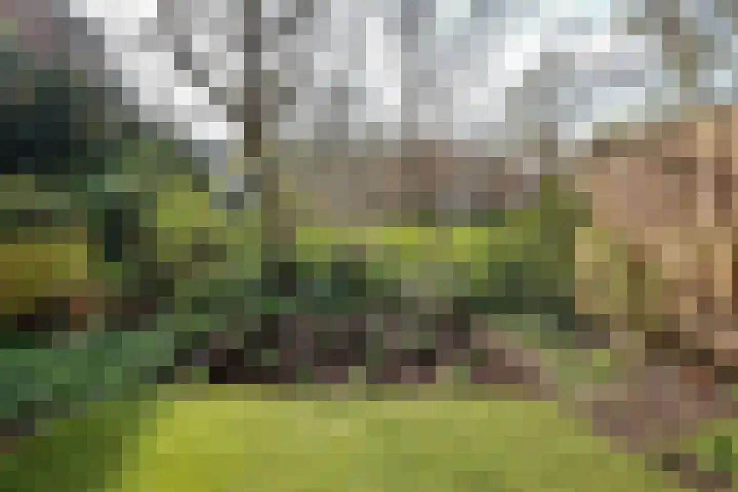 Sumatraplantsoen 34 A Amsterdam thumbnail 22