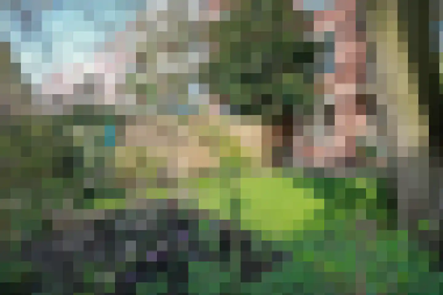Sumatraplantsoen 34 A Amsterdam thumbnail 23