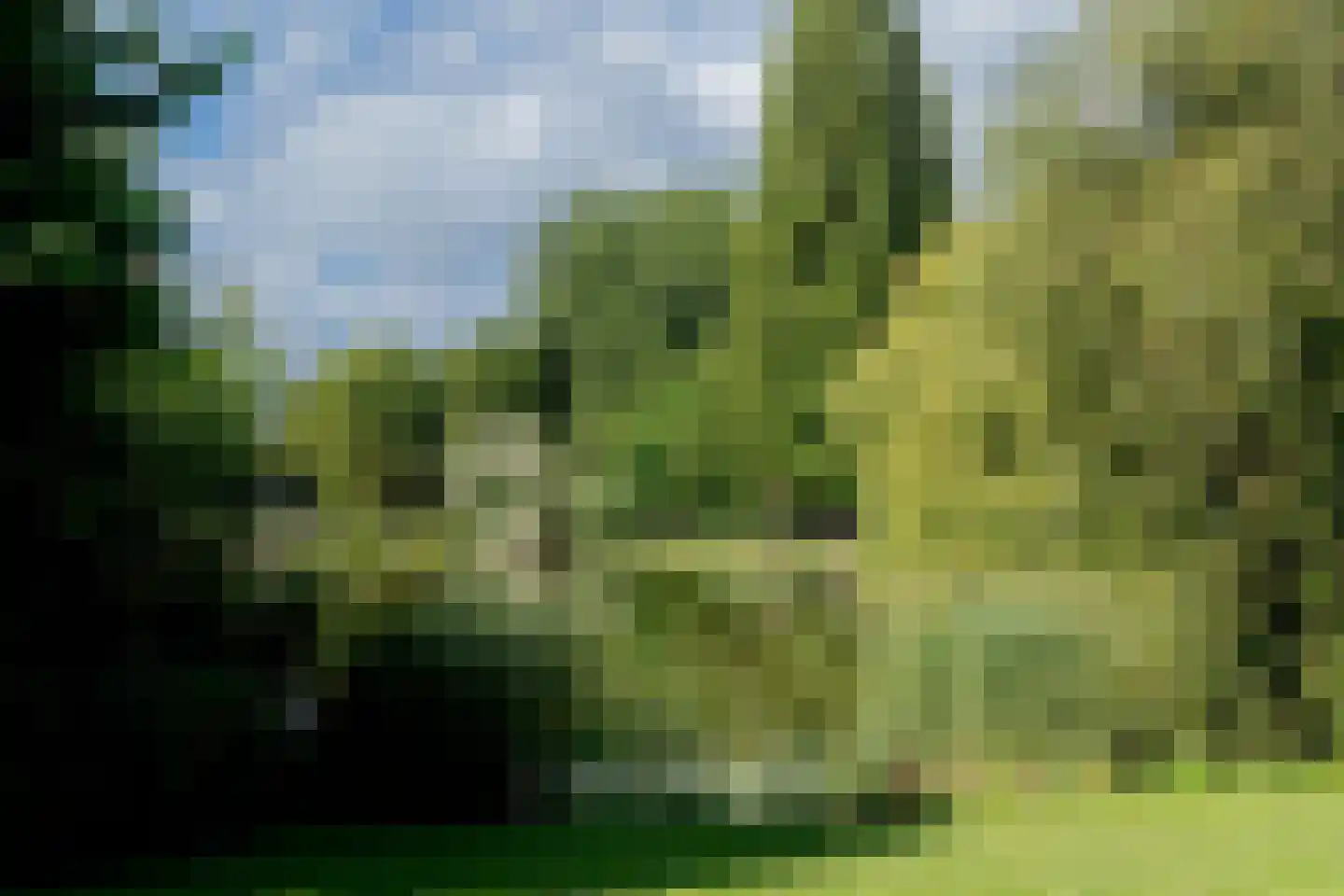 Sumatraplantsoen 5 B Amsterdam thumbnail 40