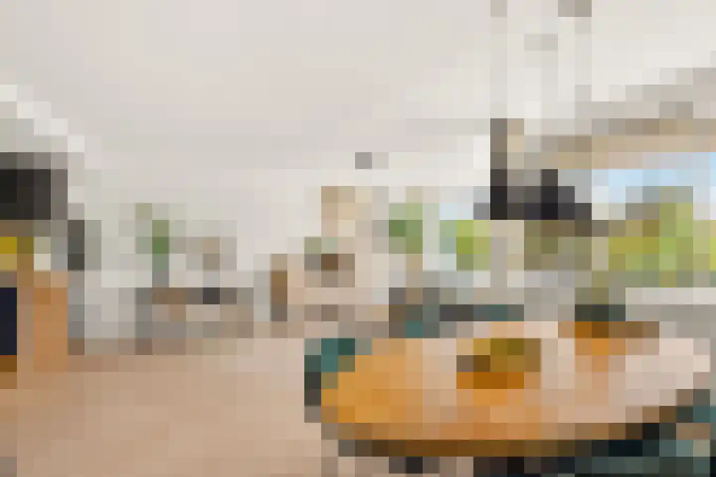 Sumatraplantsoen 5 B Amsterdam thumbnail 8