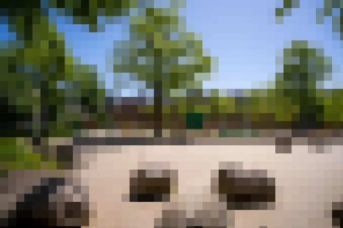 Sumatraplantsoen 5 D Amsterdam thumbnail 37