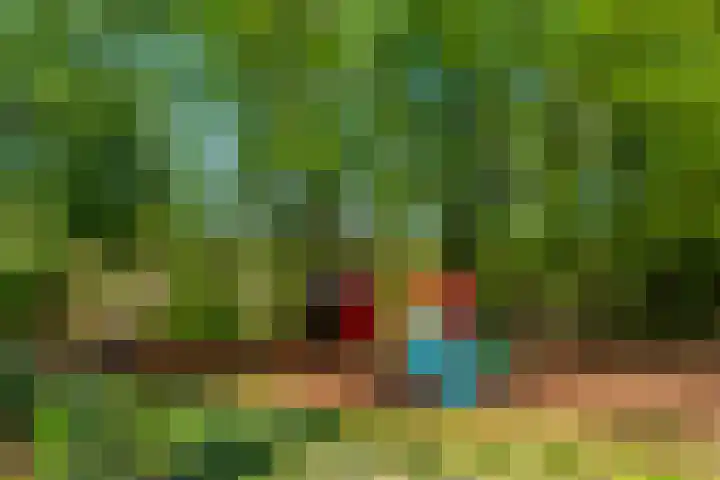Sumatraplantsoen 62 Amsterdam thumbnail 40