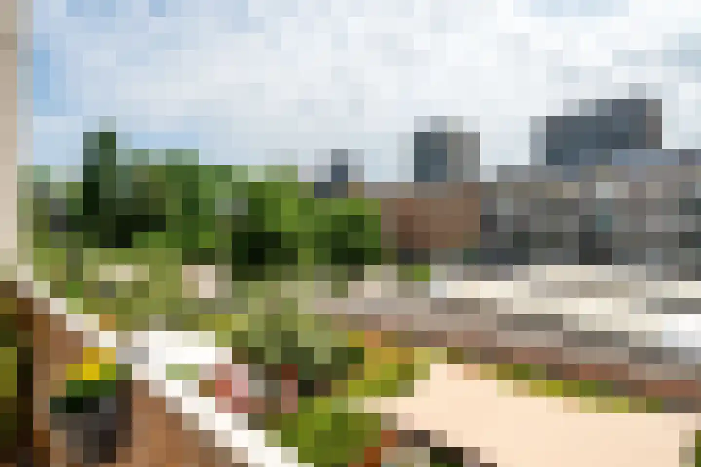 Sumatraplantsoen 70 Amsterdam thumbnail 13