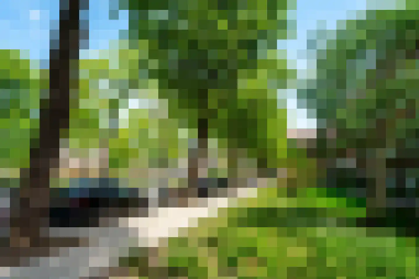 Sumatraplantsoen 70 Amsterdam thumbnail 56