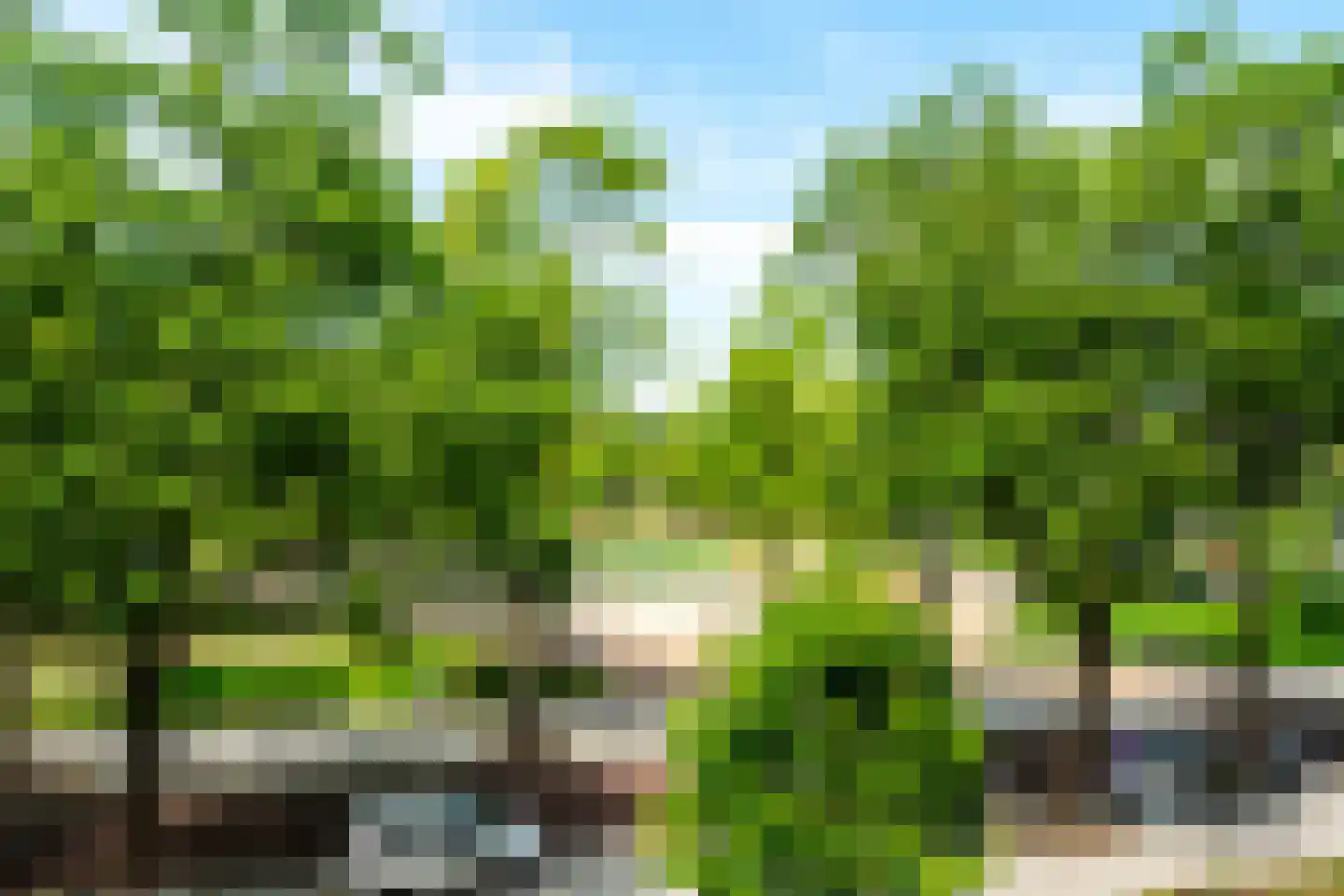 Sumatraplantsoen 70 Amsterdam thumbnail 57
