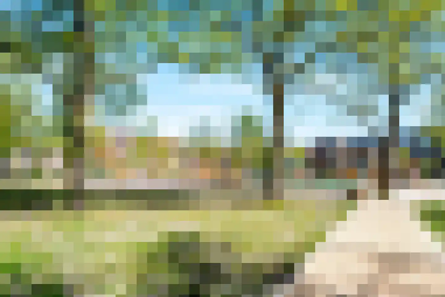 Sumatraplantsoen 86 Amsterdam thumbnail 70