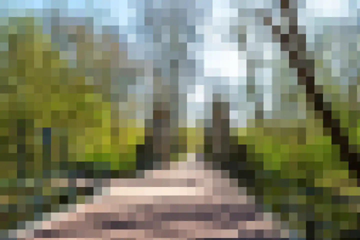 Sumatraplantsoen 86 Amsterdam thumbnail 73