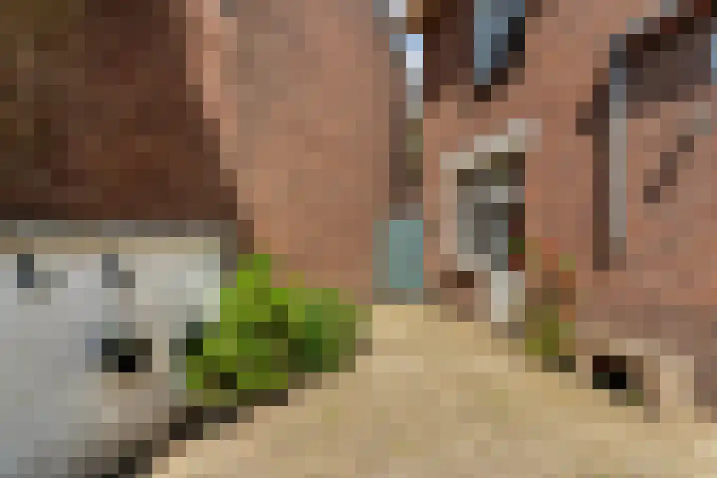 Sumatraplein 24 Nijmegen thumbnail 45