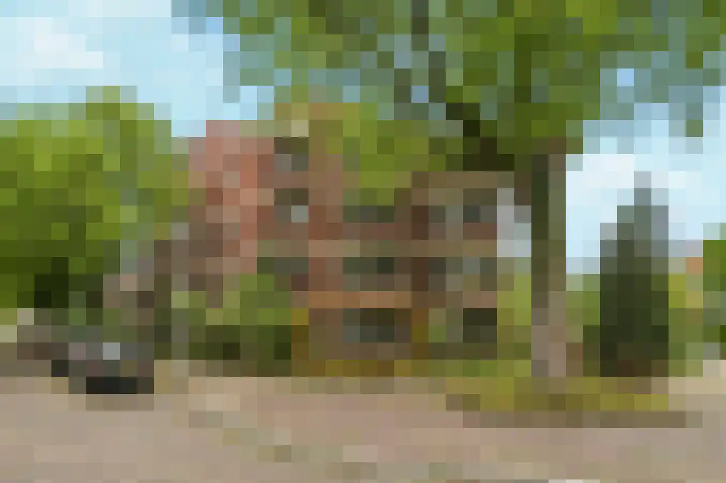Sumatraplein 36 Nijmegen
