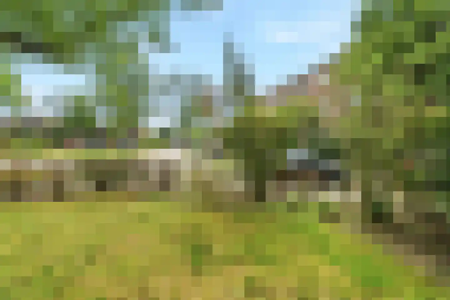 Sumatraplein 36 Nijmegen thumbnail 15