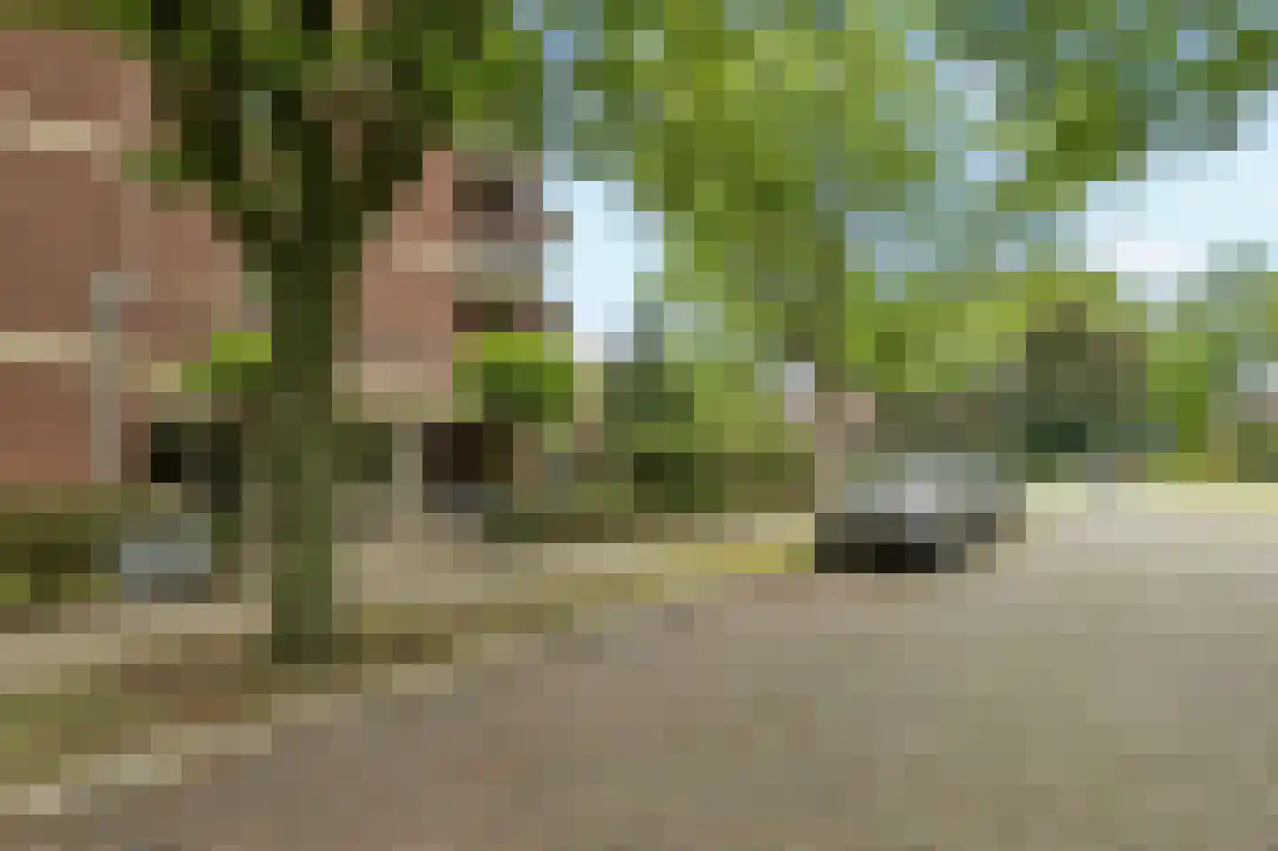 Sumatraplein 36 Nijmegen thumbnail 17