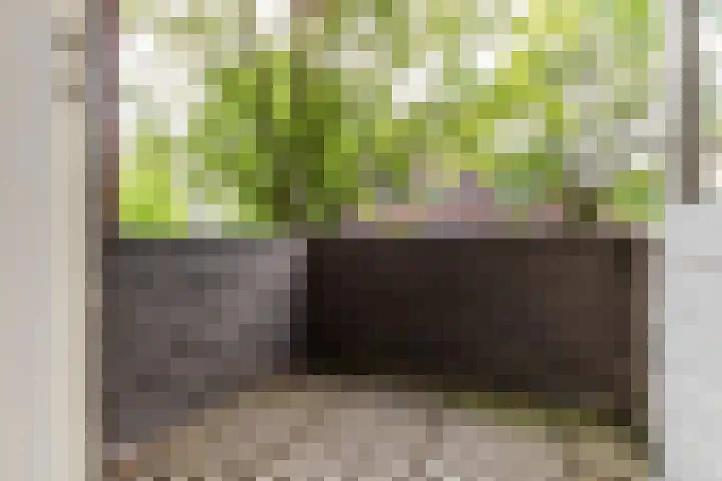 Sumatraplein 46 Nijmegen thumbnail 17