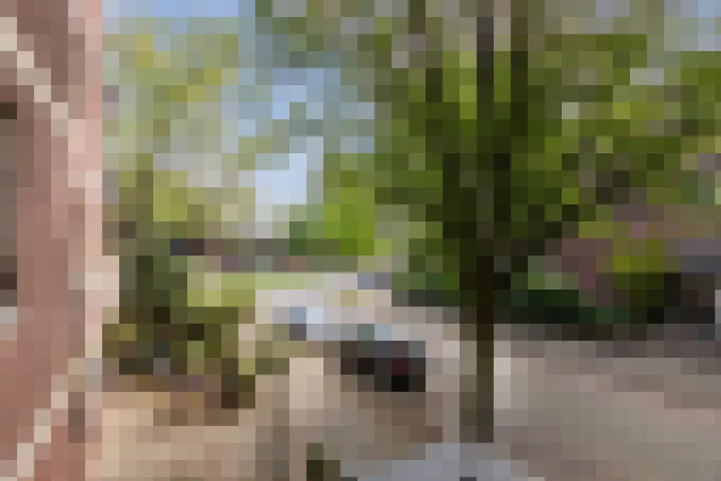 Sumatraplein 46 Nijmegen thumbnail 19