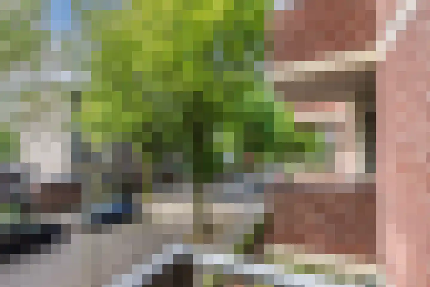Sumatraplein 46 Nijmegen thumbnail 20