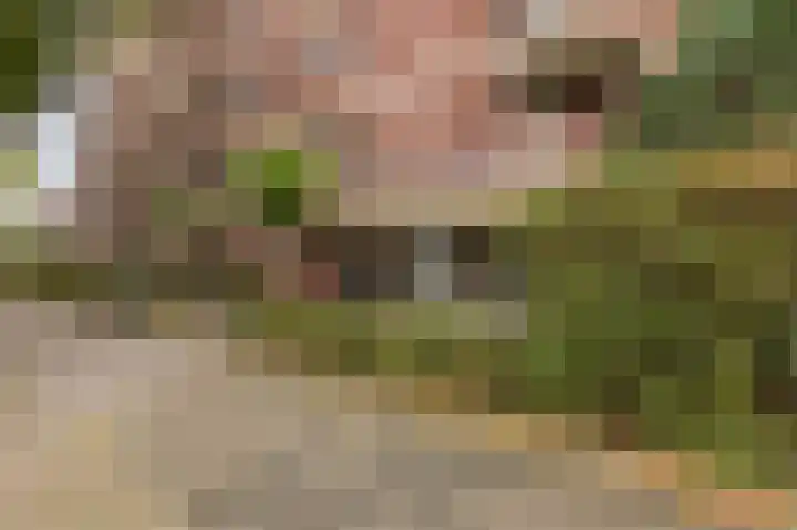 Sumatraplein 80 Nijmegen thumbnail 24