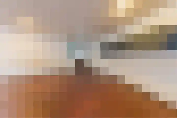 Sumatraplein 80 Nijmegen thumbnail 25